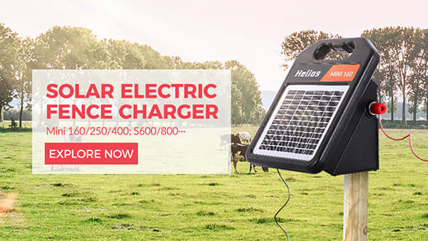 Zaun Energizer
